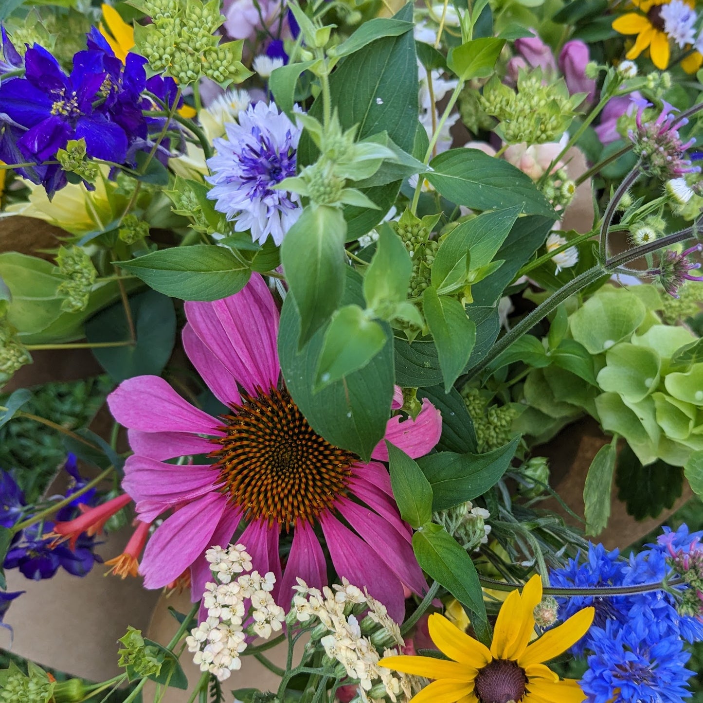 2026 Spring Flower Club