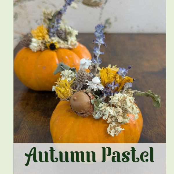 Mini Pumpkin