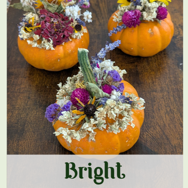 Mini Pumpkin