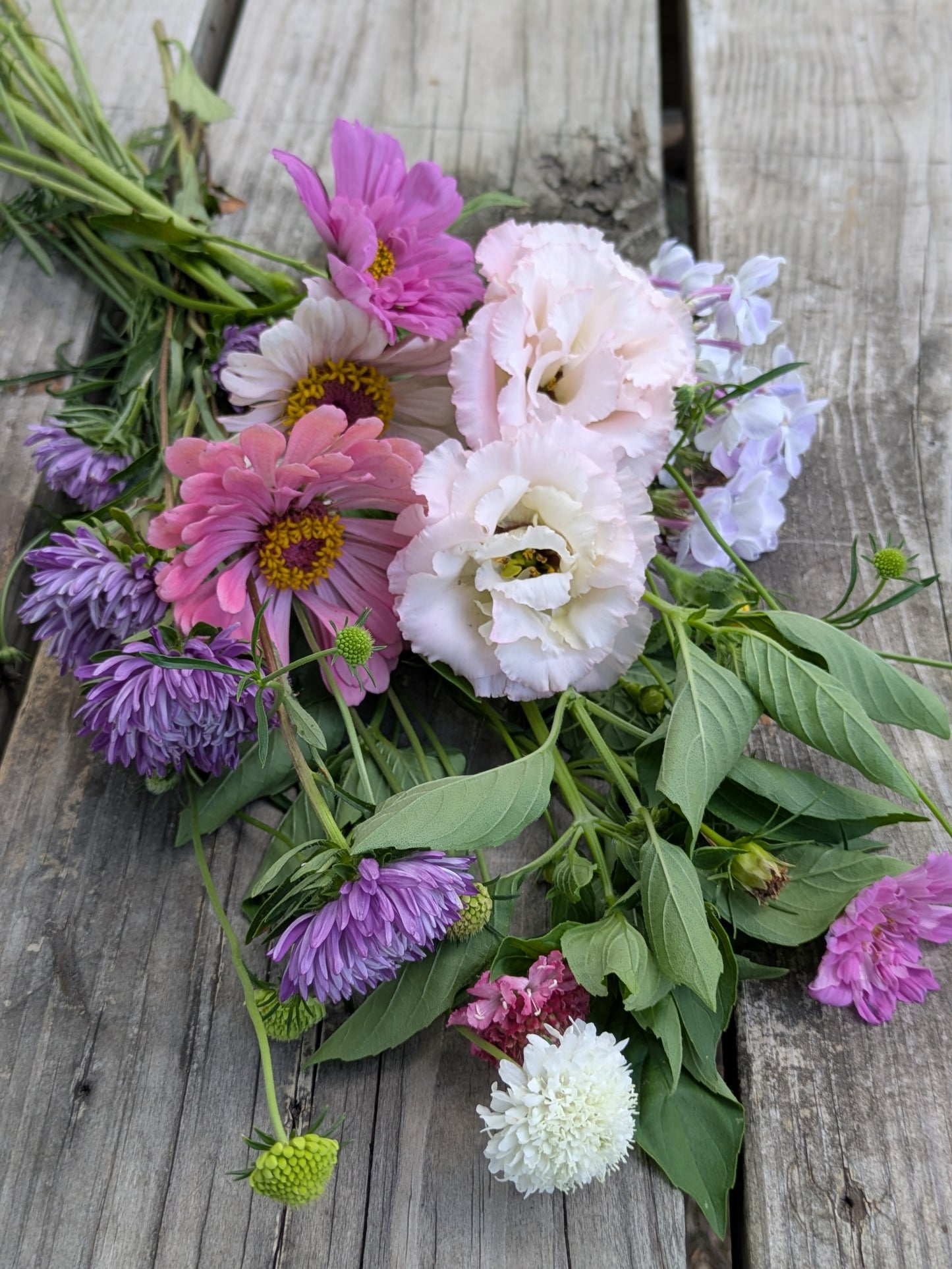 2026 Spring Flower Club