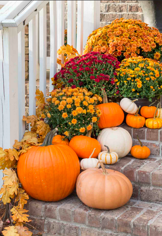 Porch Concierge Delivery to Fayetteville, Bentonville, or Rodgers, AR